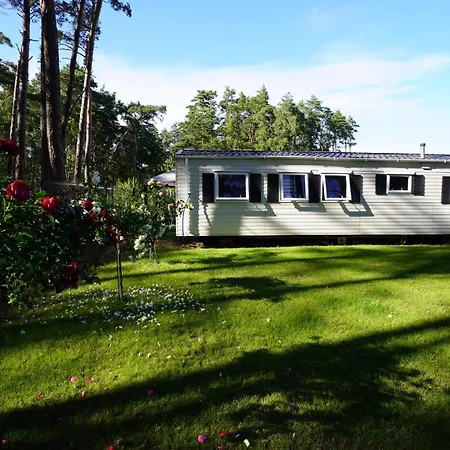 Domki W Lesie Dziwnow Exterior photo