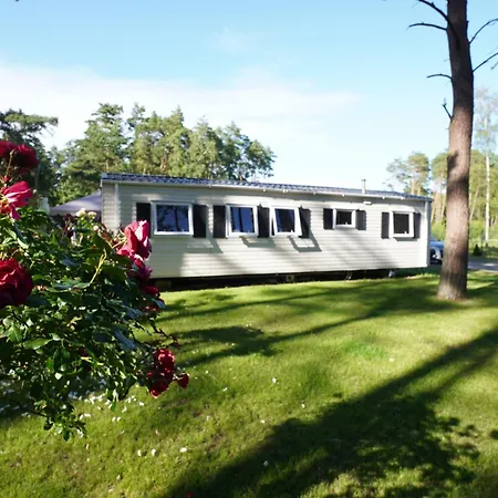 Domki W Lesie Dziwnow Exterior photo